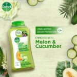 Dettol Lasting Fresh Antibacterial Body Wash Shower Gel with Refreshing Melon & Cucumber Fragrance 12 Hours Odour Protection 250ml